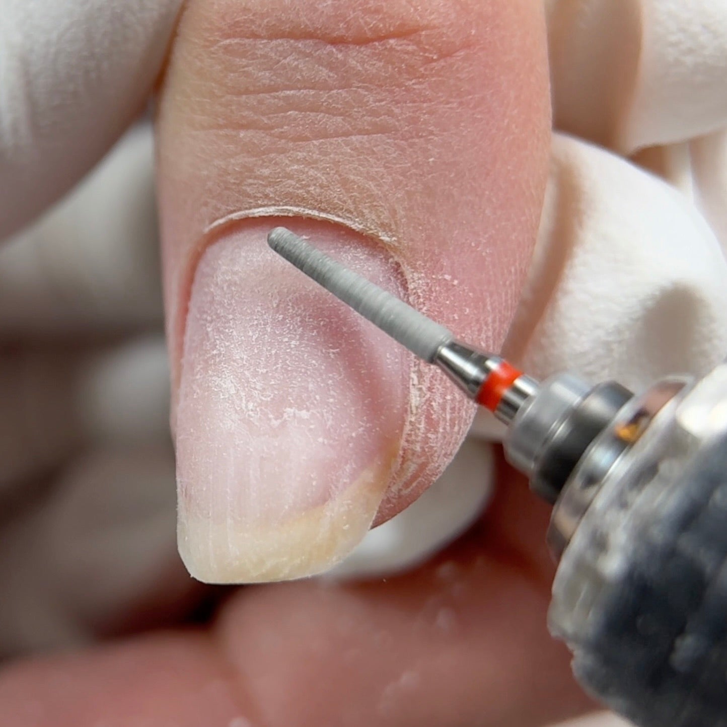 Online Trainings Are Live!